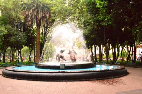 La Fuente de los Coyotes