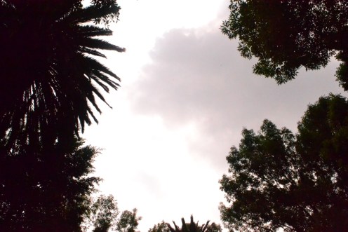 El hermoso cielo en Coyoacán