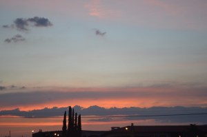 2 abril 2015 Freixenet (161) (800x533)