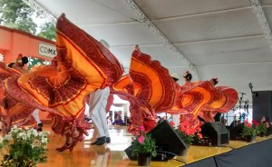 Feria de las Flores San Ángel 2015