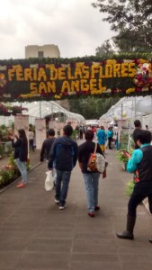 Feria de las Flores San Ángel 2015