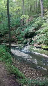 Hells Hollow, Pittsburgh