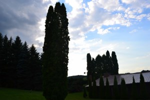 Carrolltown Rehearsal 31 julio 2015 (33) (1024x683)