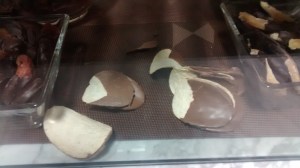 IMG_20150930_220954522