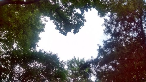 IMG_20150913_084216054_HDR