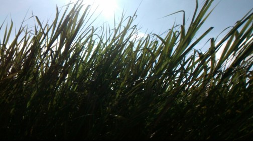 Carretera a Guadalajara