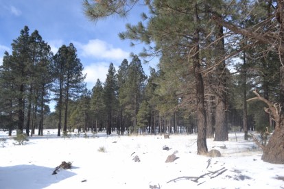 Flagstaff (1)