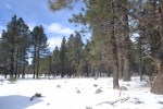 Flagstaff (1)