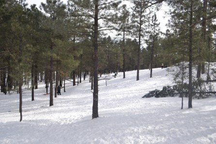 Flagstaff (6)