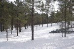 Flagstaff (6)