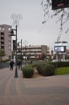 Phoenix Downtown (4)