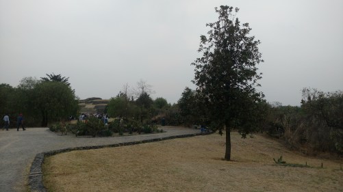 IMG_20160321_124958602