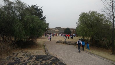 IMG_20160321_142207781