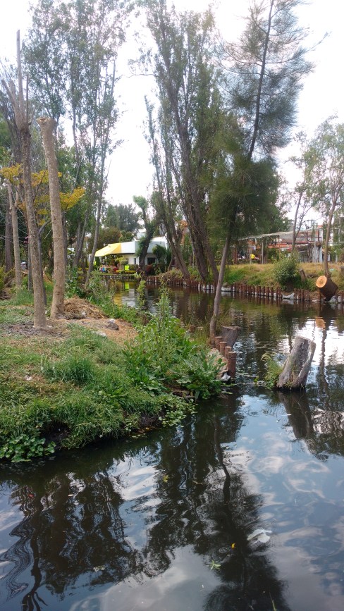 IMG_20160324_115908579