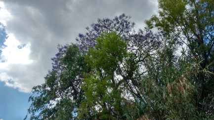 IMG_20160324_123007399_HDR