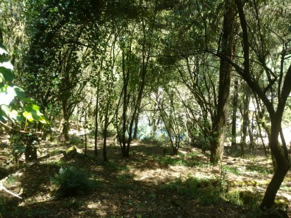 IMG_20160325_132747484 - copia - copia - copia