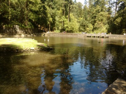 IMG_20160325_133516135 - copia - copia - copia