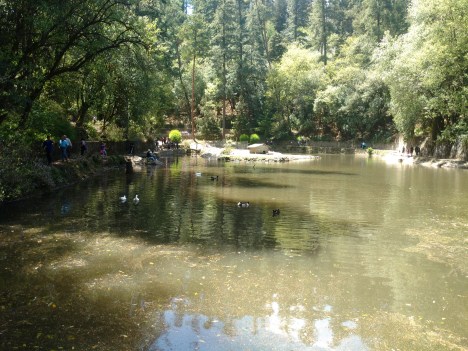 IMG_20160325_133954605 - copia - copia