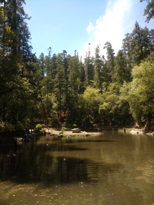 IMG_20160325_134004064 - copia