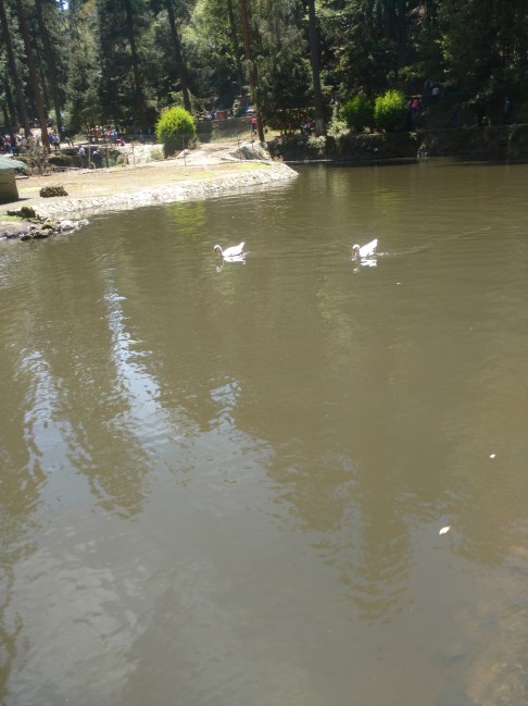 IMG_20160325_134410608