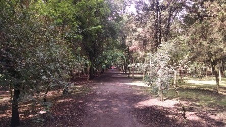 IMG_20160702_111645701