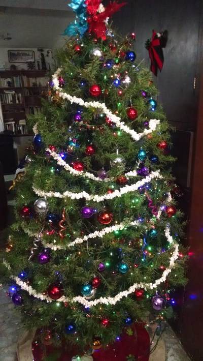 img_20161206_212832815