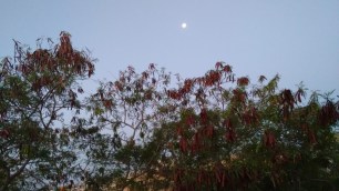 Amanecer y Parque Kabah (2)