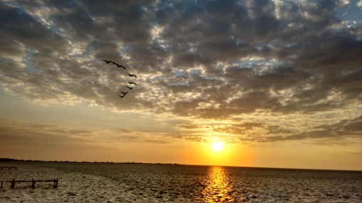 Atardecer en Campeche (11)