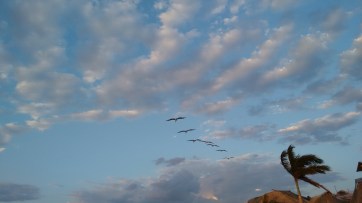 Atardecer en Campeche (13)