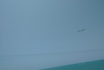 carretera-campeche-mérida