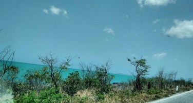 Carretera Campeche Mérida (14)
