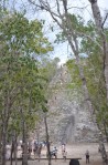 Cobá (11) (683×1024)