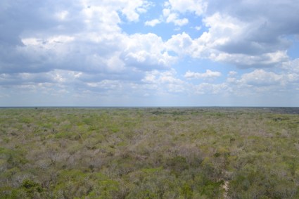 Cobá (12) (1024x683)