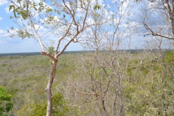 Cobá (14) (1024x683)