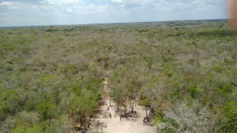 Cobá (33)