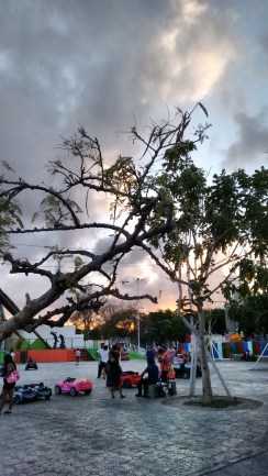 Parque de las Palapas (2)