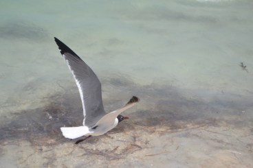 Playa Maya Cancún (3)