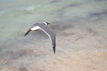 Playa Maya Cancún (4)