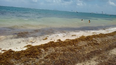 Puerto Morelos (18)