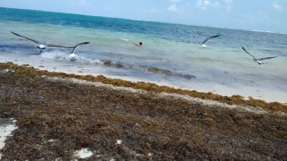 Puerto Morelos (36)