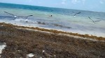 Puerto Morelos (36)