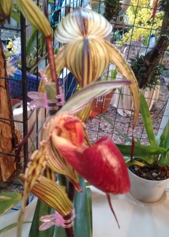 IMG_20170518_135743632