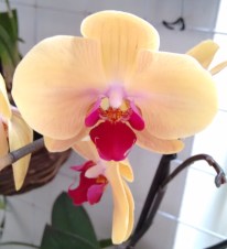 IMG_20170518_140613943