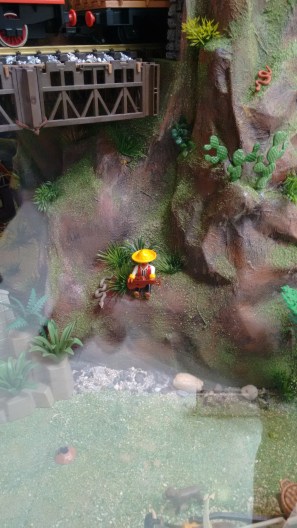 Chapultepec junio 2017 (134)