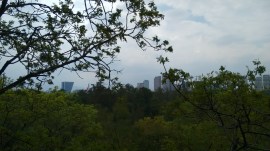 Chapultepec junio 2017 (182)