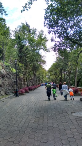 Chapultepec junio 2017 (20)