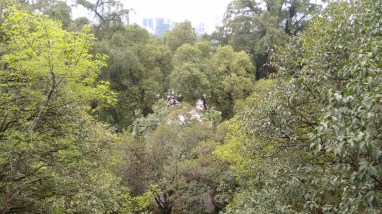 Chapultepec junio 2017 (206)