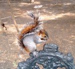 Chapultepec junio 2017&nbsp;(208)