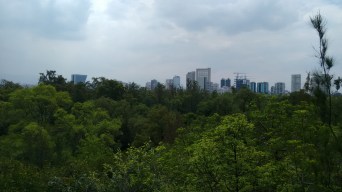 Chapultepec junio 2017 (23)