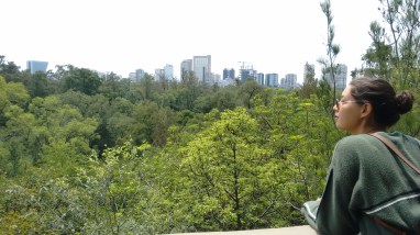 Chapultepec junio 2017 (32)